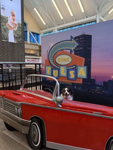 Dog-Training-Tulsa-90