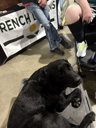 Dog-Training-Tulsa-Make-Your-Dog-Epic-Dog-Training-Tulsa-227