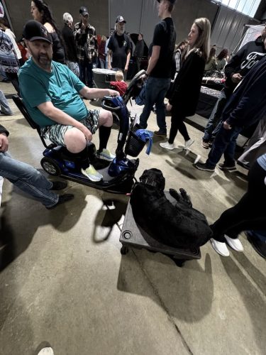 Dog-Training-Tulsa-Make-Your-Dog-Epic-Dog-Training-Tulsa-228