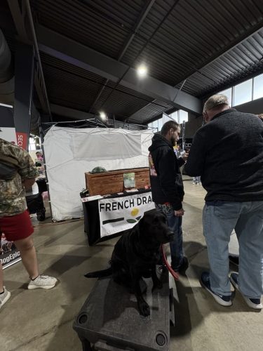 Dog-Training-Tulsa-Make-Your-Dog-Epic-Dog-Training-Tulsa-229