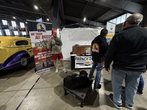 Dog-Training-Tulsa-Make-Your-Dog-Epic-Dog-Training-Tulsa-234